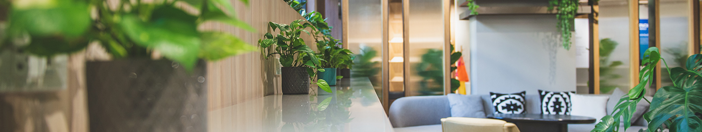 グリーンサービス