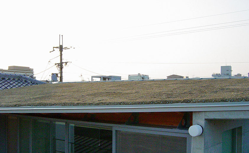 屋上緑化の効果