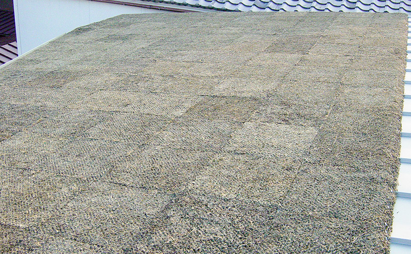 屋上緑化のタイプ別特徴