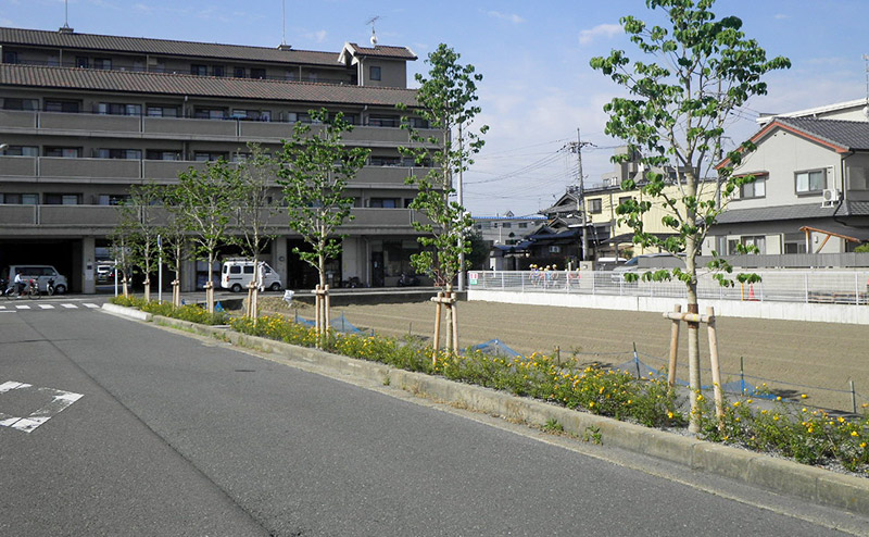 花の道づくり街路樹植栽(その5)工事(京都市)